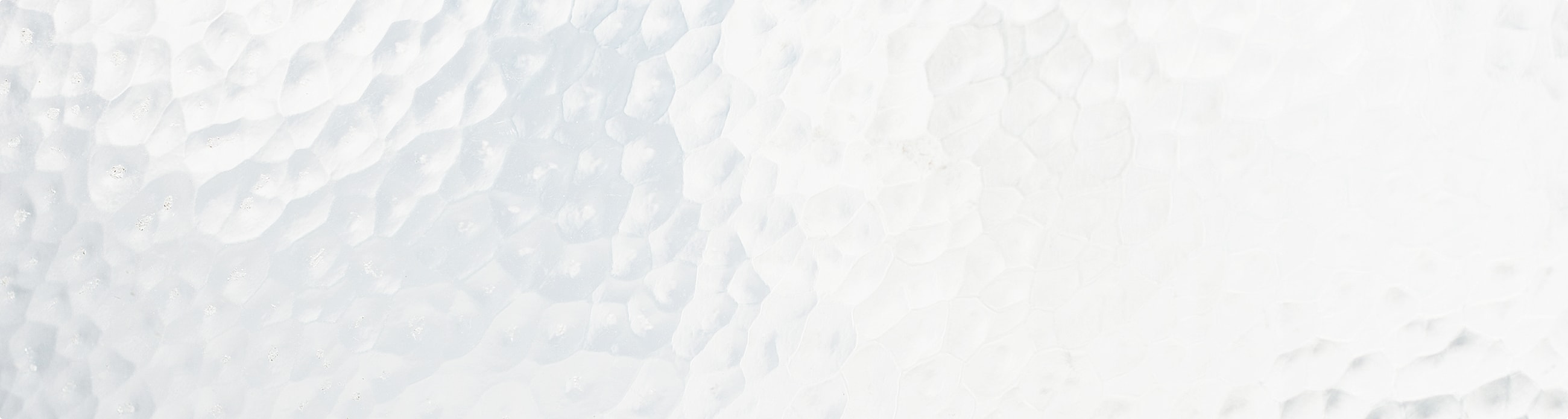 main form Background Image