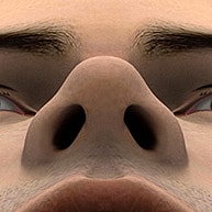 Close-up of a nose and nostrils.
