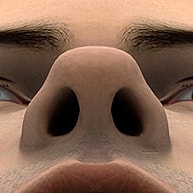 Close-up of a human nose and eyes.