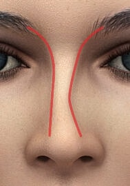 Facial features with highlighted lines on nose.
