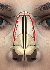 Close-up of a human face and eyes.