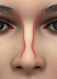 Close-up of a face with highlighted features.