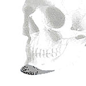 Skull with a small fish underneath it