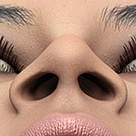 Close-up of a nose and eyes.