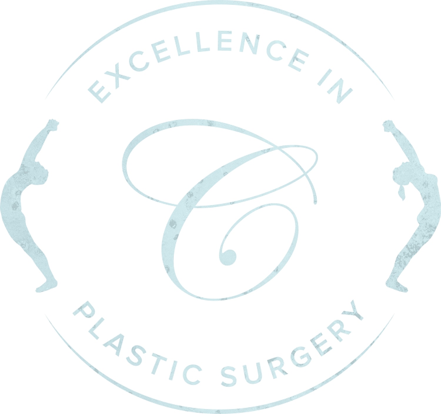 Logo for plastic surgery excellence brand.